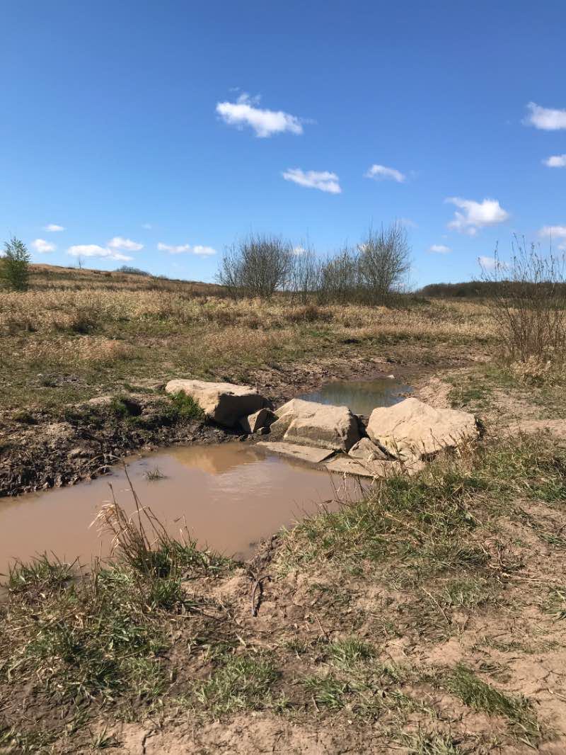walking near me in Bickershaw Country Park in winter