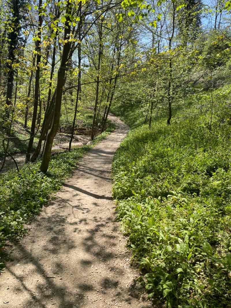 walking near me in Park Kantonsspital Basel-Landschaft in winter