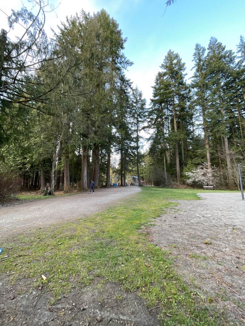 walking near me in Mundy Park in winter