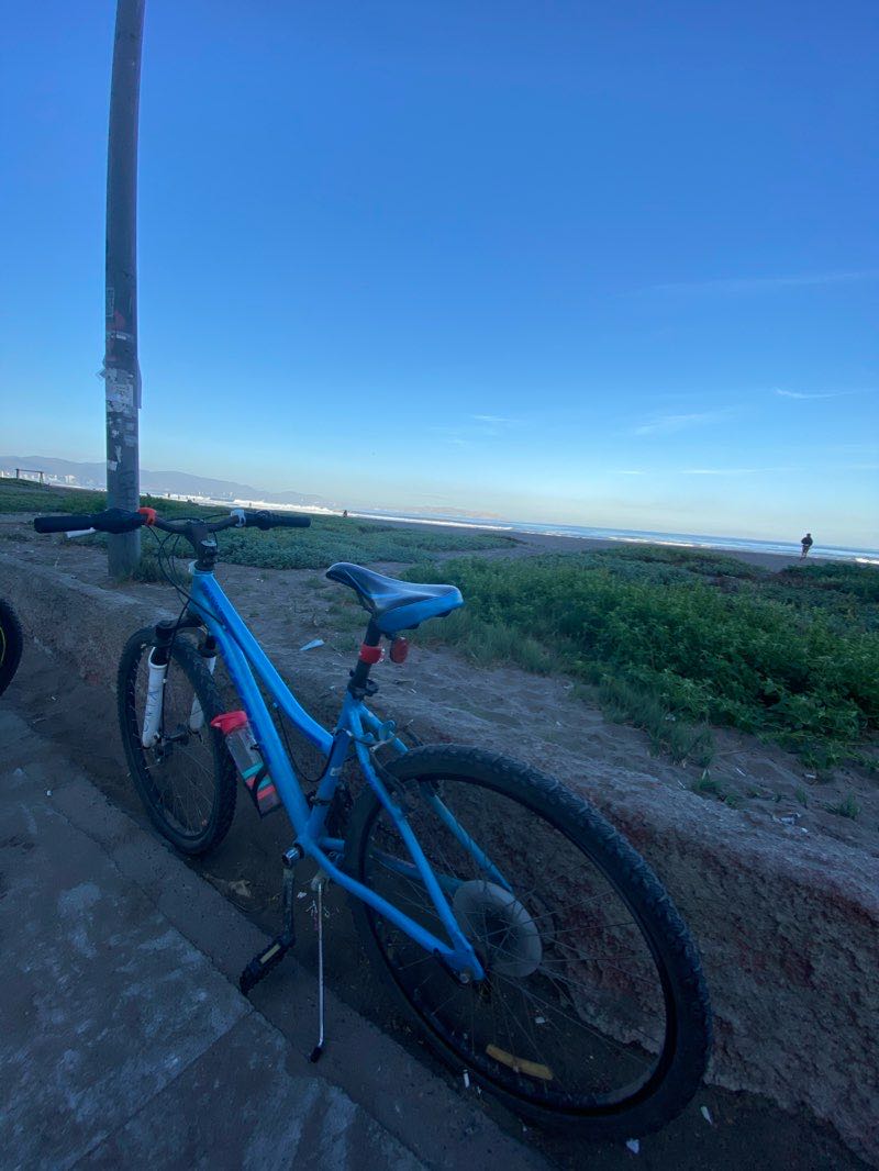 walking near me in Parque Municipal Gabriel Coll Dalmau in summer