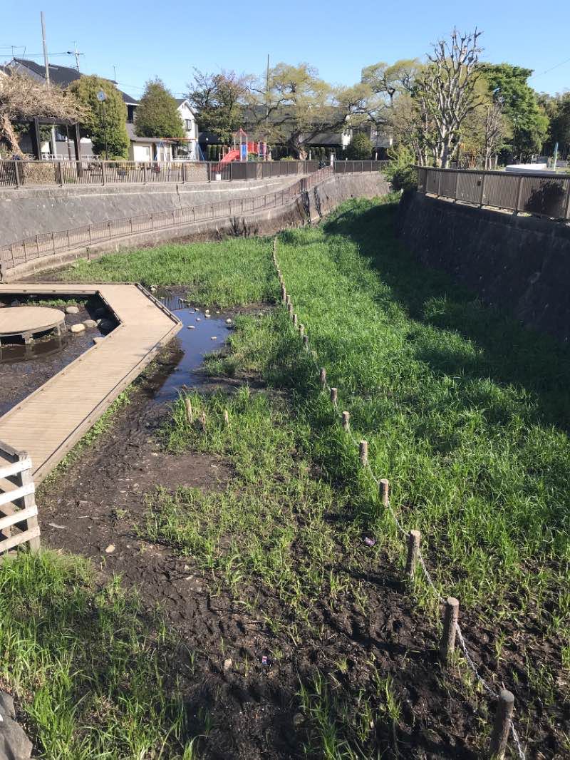 walking near me in 大泉井頭公園 in winter