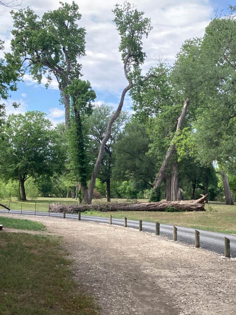 walking near me in Helton Nature Park in winter