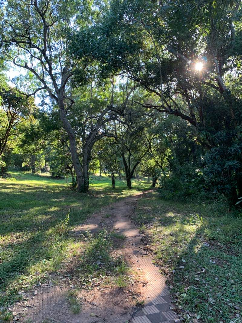 walking near me in Parque Salto del Guairá in summer