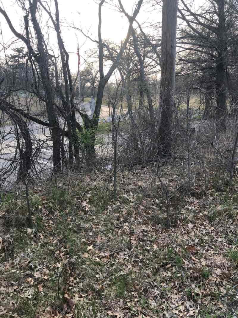 walking near me in Nevins Bird Sanctuary in winter