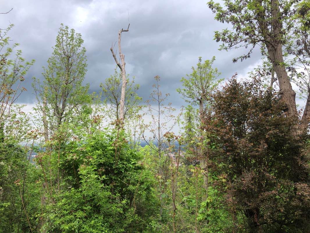 walking near me in Giardino del Ghisello in winter