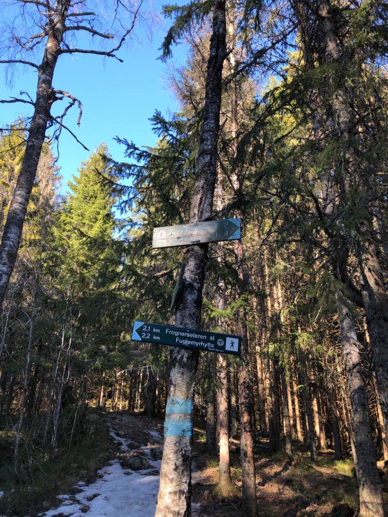 walking near me in Middelalderparken in winter