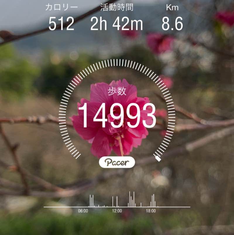 健康のため、ファイト(^O^) post 1