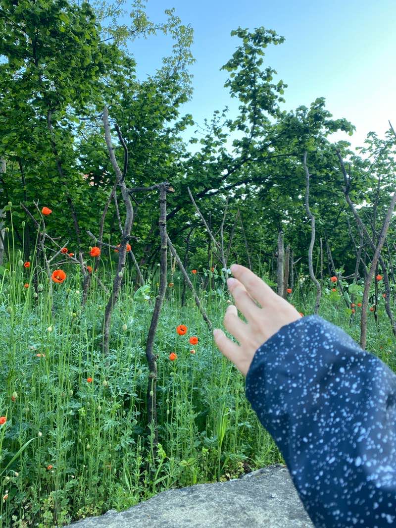 walking near me in Atapark in winter