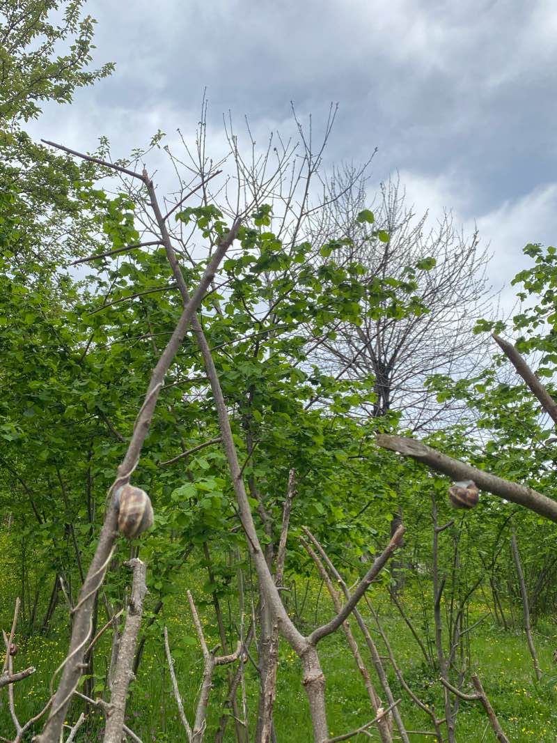 walking near me in Zaganos Valley Park in winter