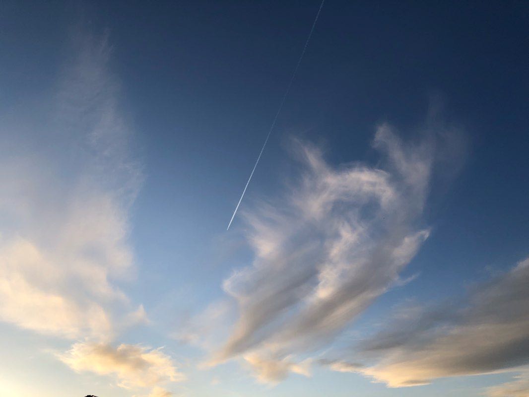 walking near me in Main Street Park in winter