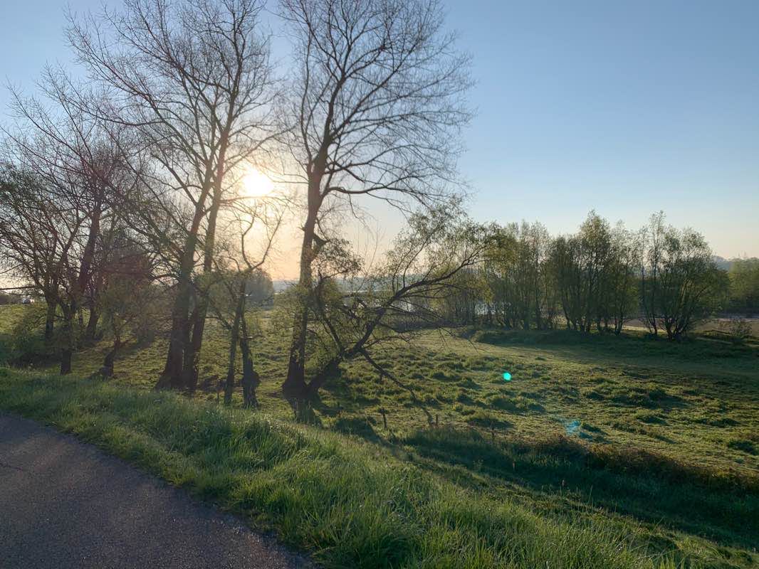 walking near me in Linge Waalpark in winter