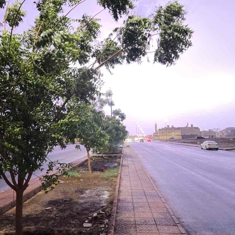 Abdulrahman Abdullah Almutairi | Al-Madinah post 1