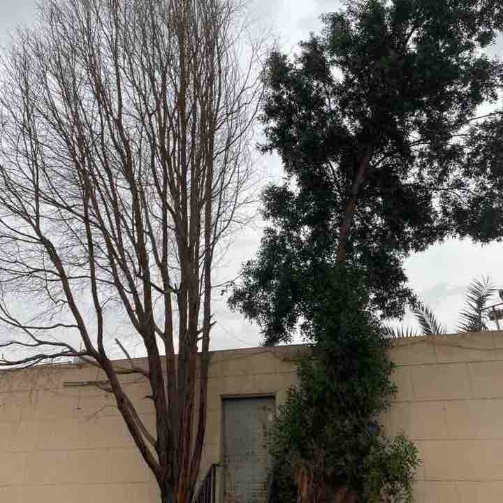 Abdulrahman Abdullah Almutairi | Al-Madinah post 1