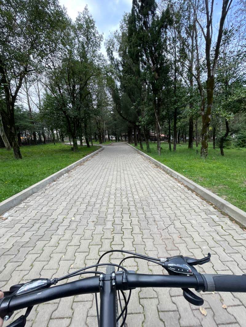 walking near me in Youth Park in winter