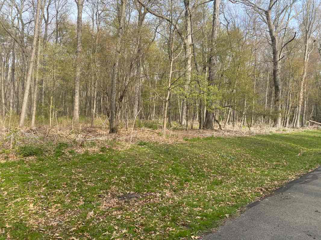 walking near me in Algonac State Park in winter