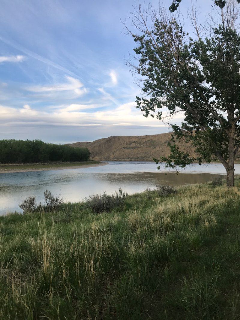 walking near me in Riverside Veterans Memorial Park in winter