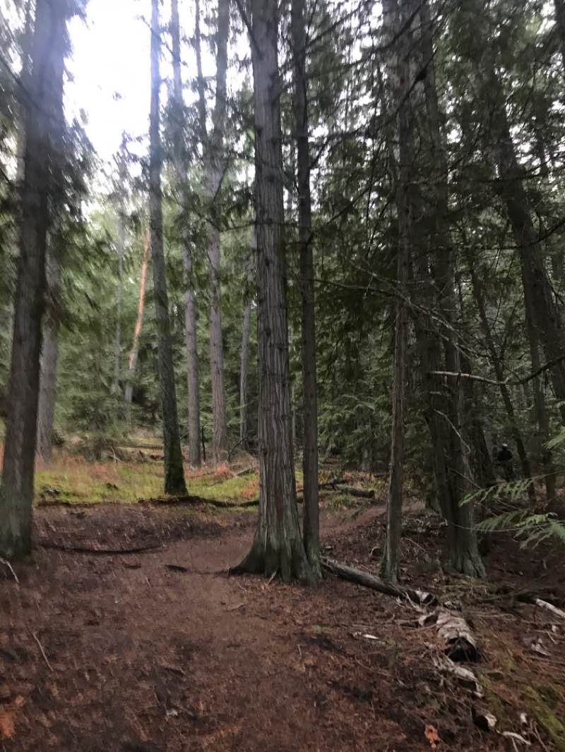 walking near me in Canoe Beach in winter