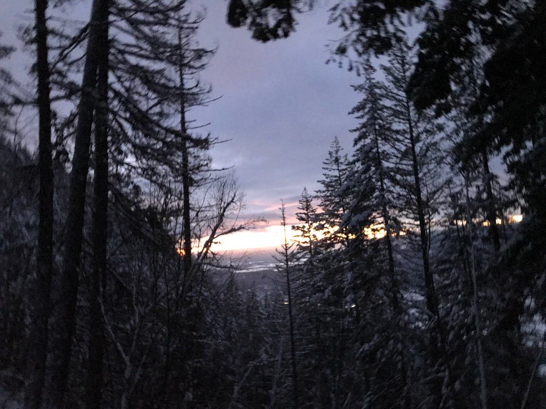 walking near me in Enderby Cliffs Provincial Park in winter