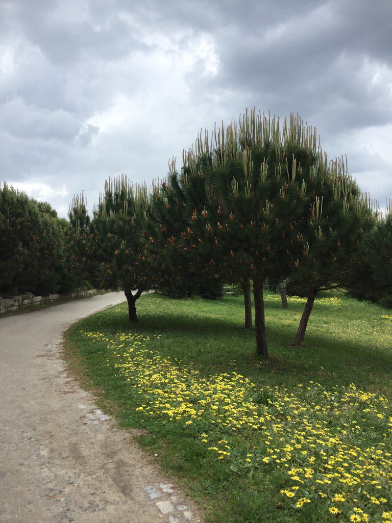 walking near me in Jardins do Palácio de Cristal in winter