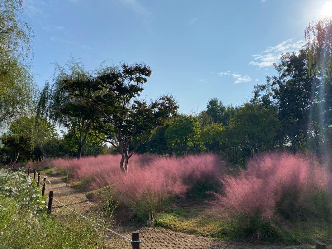 walking near me in 3·8의거 둔지미공원 in winter