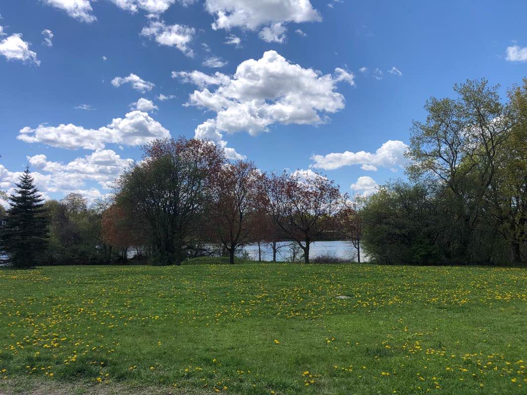 walking near me in Nichols Oval in winter