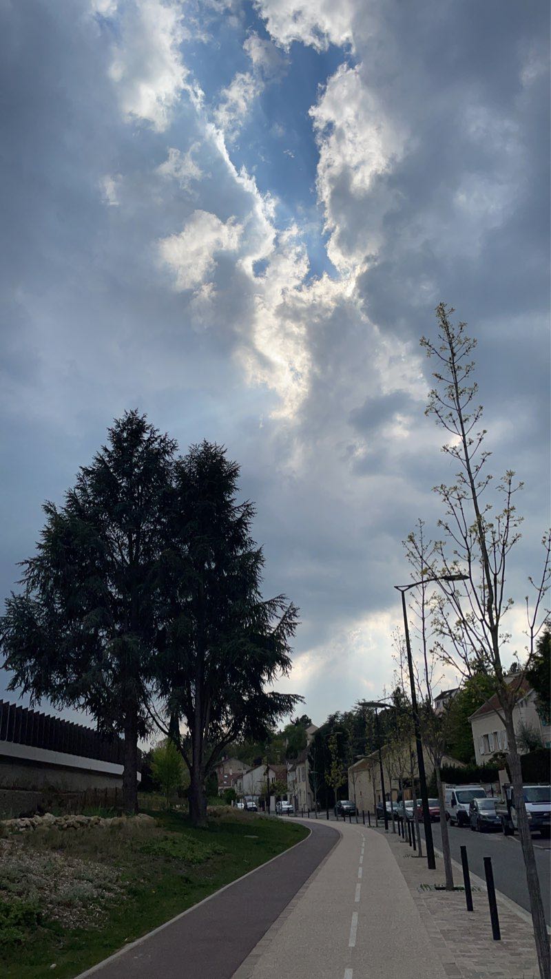 walking near me in Bois Saint-Léger in winter