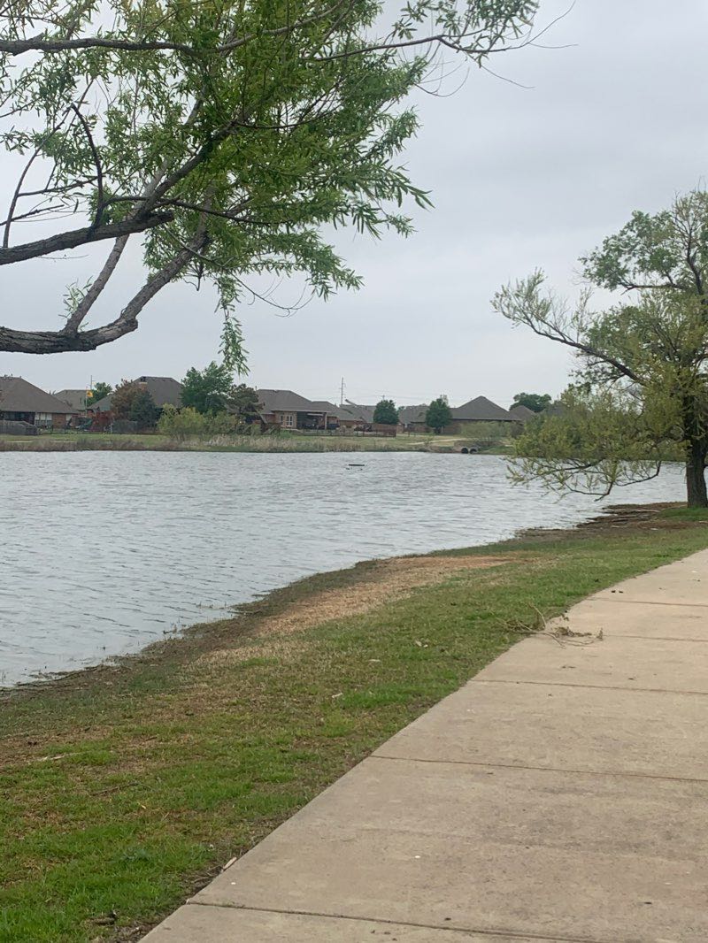 walking near me in Lake Woods Nature Park in winter