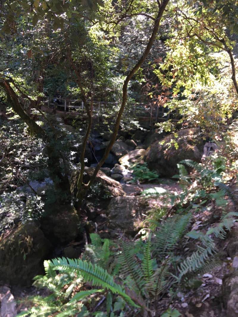 walking near me in Stinson Beach (GGNRA) in winter