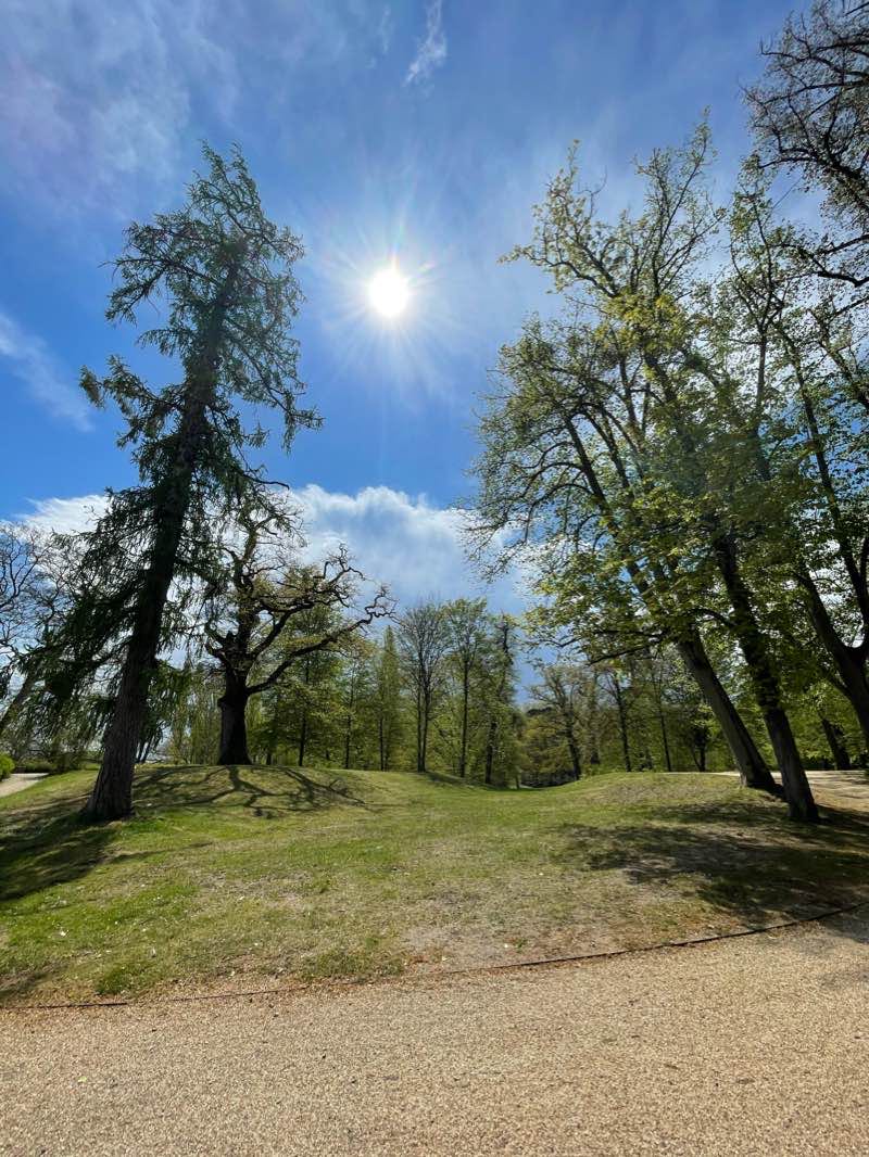 walking near me in Kurpark Wilhelmsbad in winter