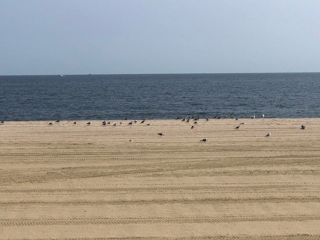 walking near me in The Great Lawn in winter