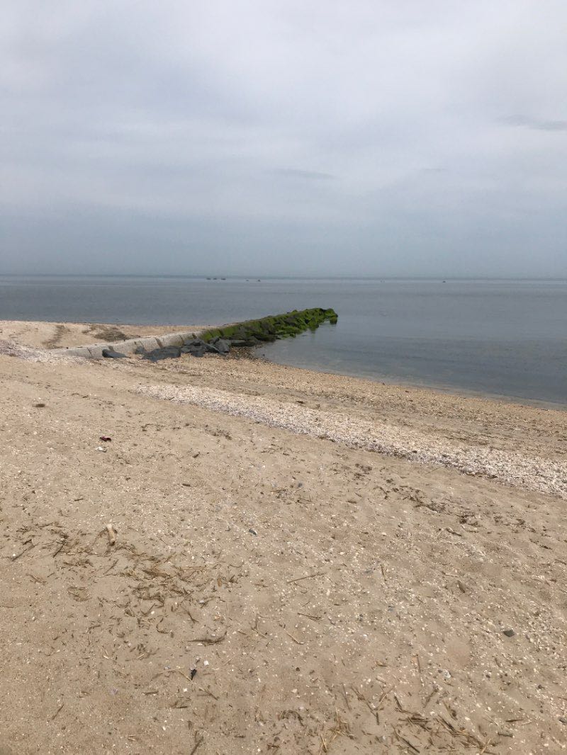 walking near me in Crab Meadow Beach Park in winter