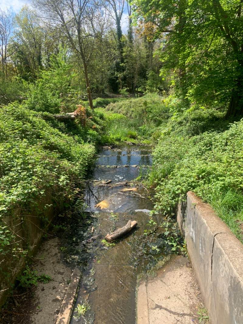 walking near me in Crane Park in winter