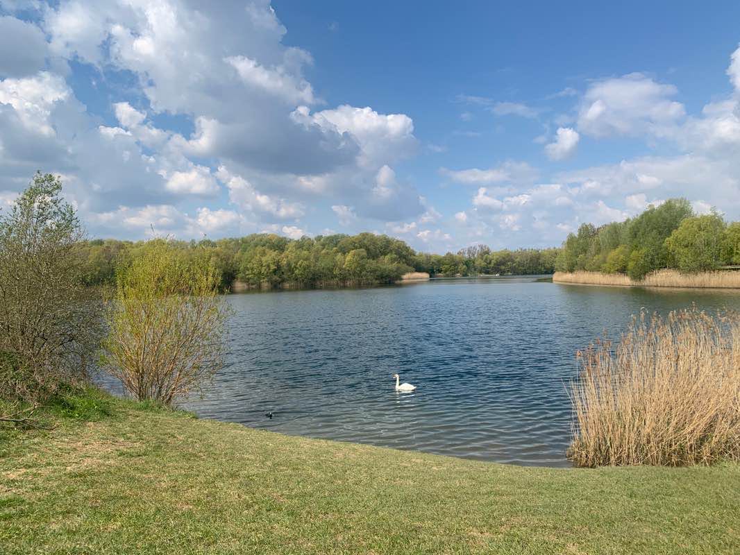 walking near me in Bedfont Park in winter