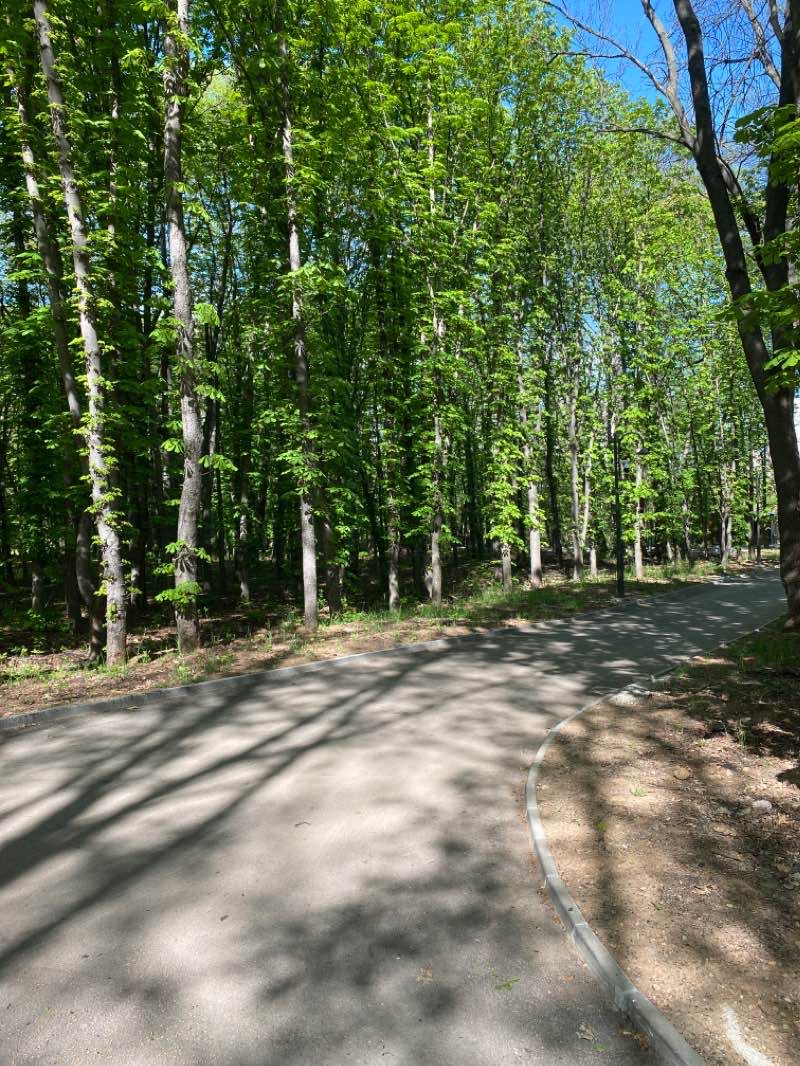 walking near me in West Park in winter