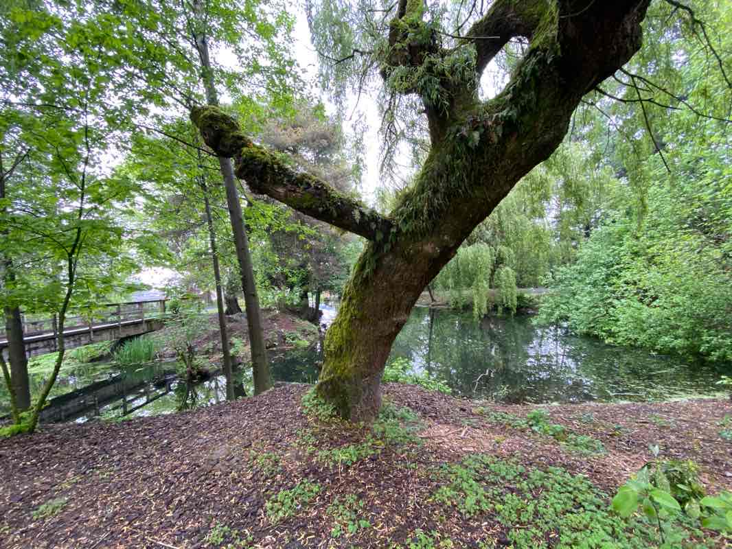 walking near me in Manuel Park in winter