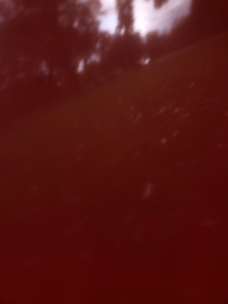 walking near me in Little Red School House Park in winter