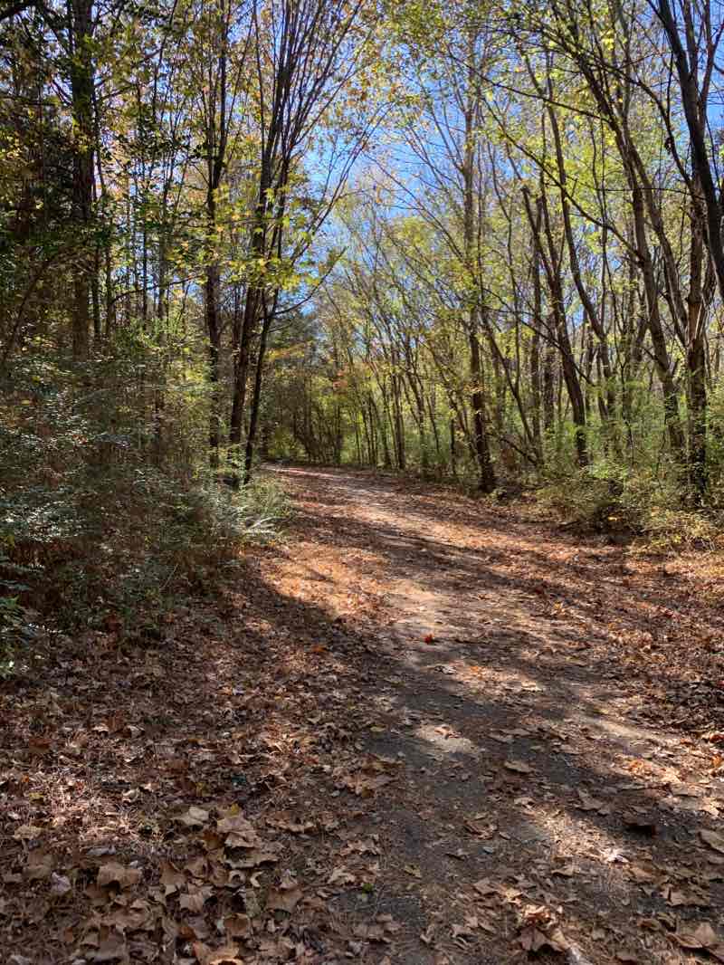 walking near me in Hickory Hill Park in winter