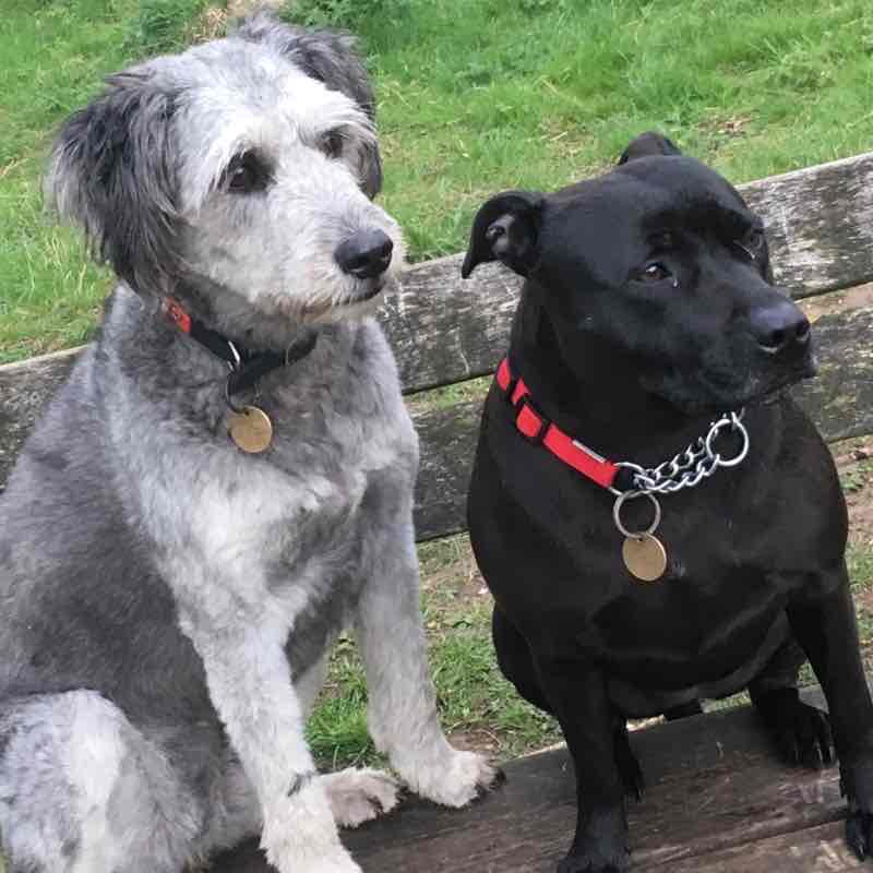 🇬🇧Susan🇬🇧 post 1