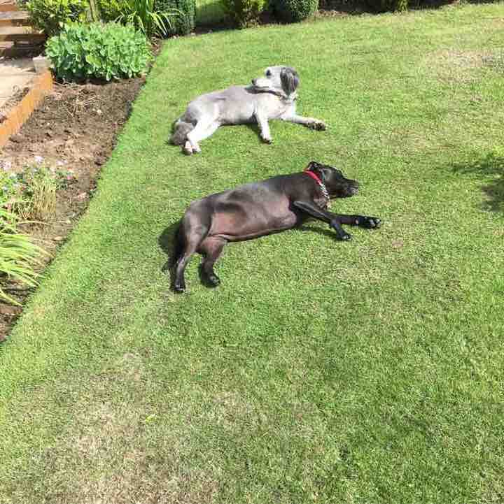 🇬🇧Susan🇬🇧 post 2