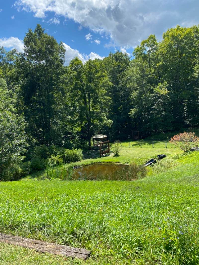 walking near me in Wolfe Park in winter