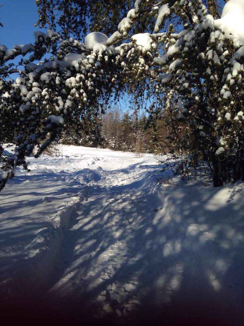 walking near me in Parc Marguerite-Hayet in winter