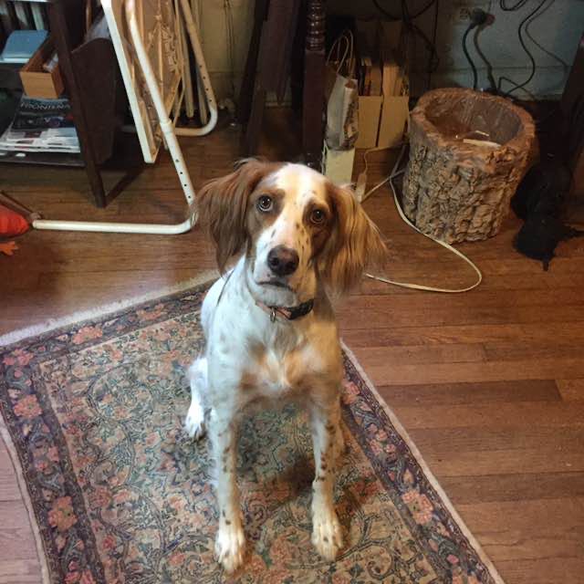 C’ville Walkers Steve post image