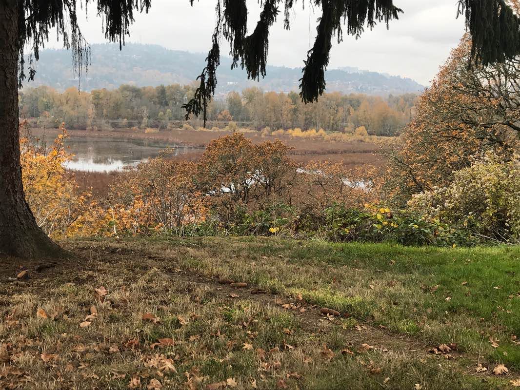 walking near me in Oaks Bottom Wildlife Refuge in winter