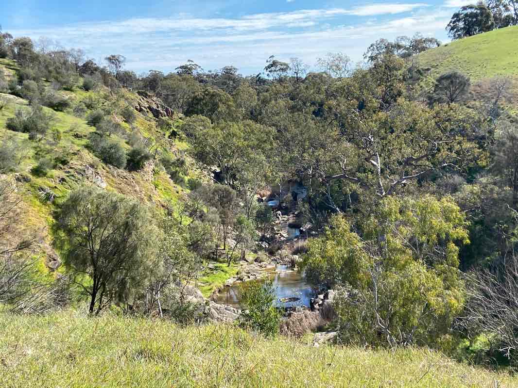 walking near me in Unnamed (No.HA48) Heritage Agreement in summer