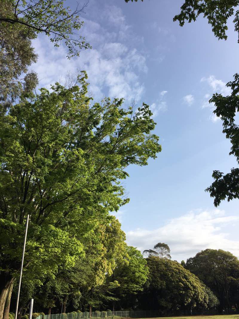 walking near me in 21世紀の森と広場 in winter