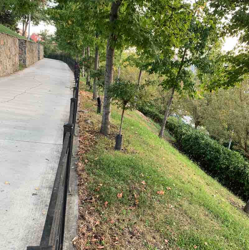 Mahmut Ulutaş post 3