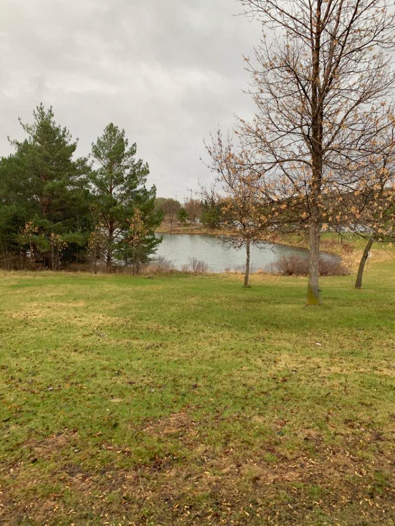 walking near me in Dawson Park in winter