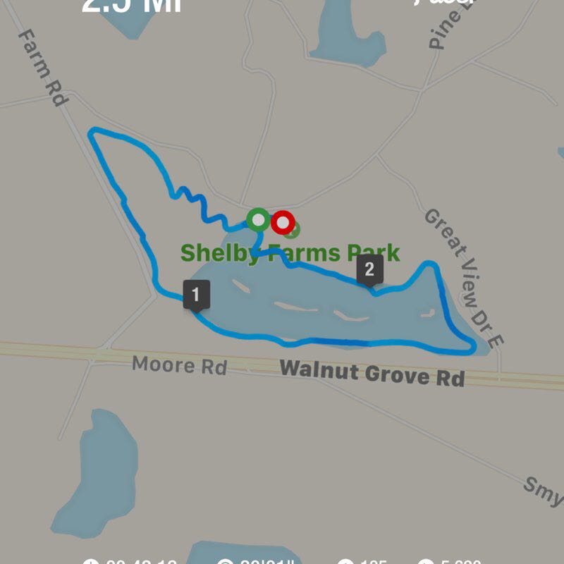 PacerGal_1961 post 1