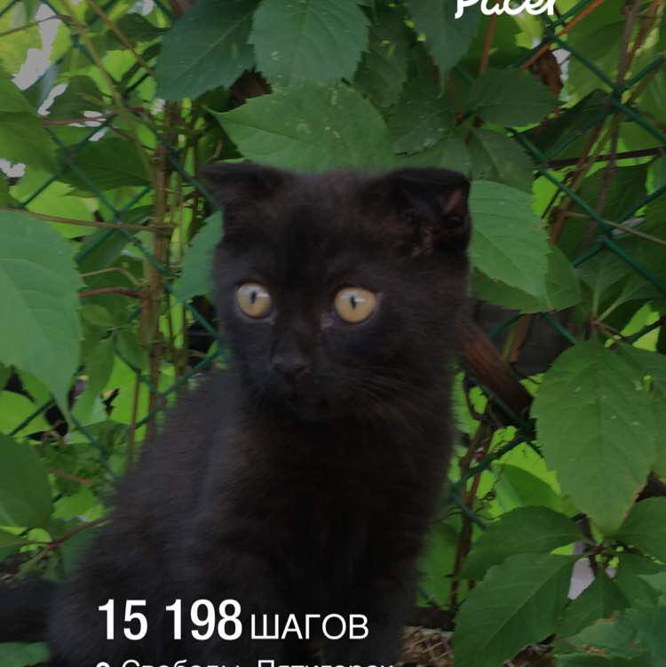 Алексей post 1