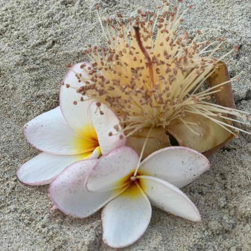 💕Helen💕 post 3